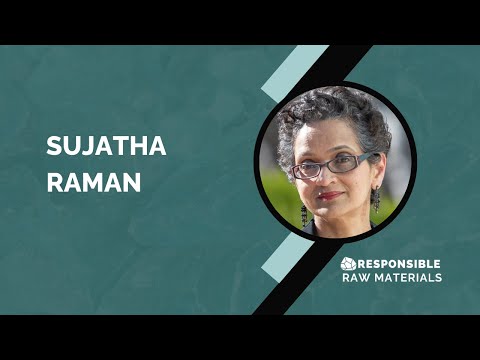 Sujatha Raman – 2025 – Reflections on Transdisciplinary Collaboration ...
